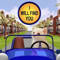 Driving Where Are You GIF