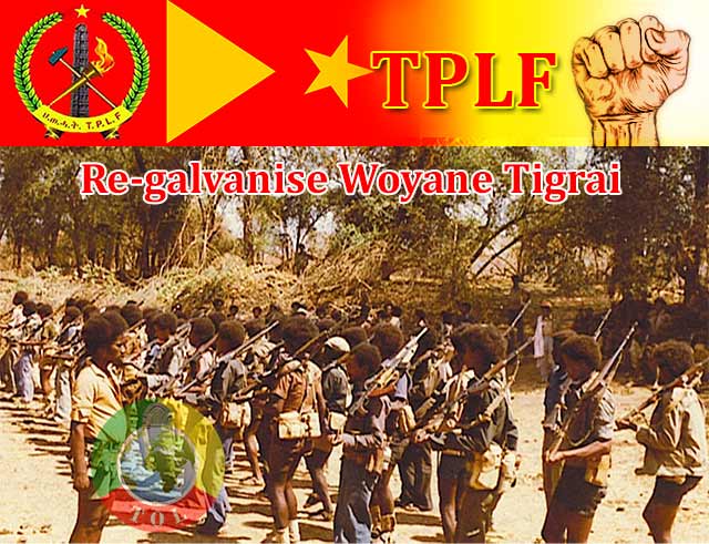 regalvenise-tplf.jpg