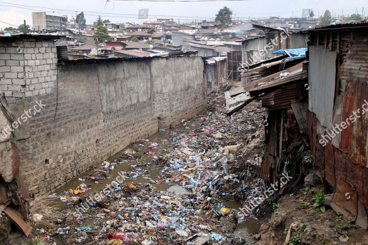 garbage-between-corrugated-iron-huts-slums-addis-ababa-1500w-9836290a.jpg