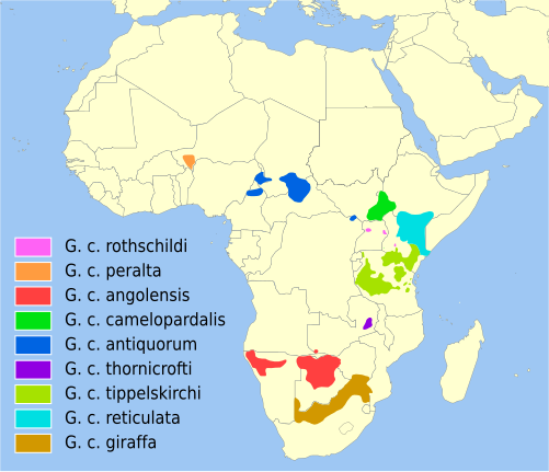 501px-Giraffa_camelopardalis_distribution.svg.png