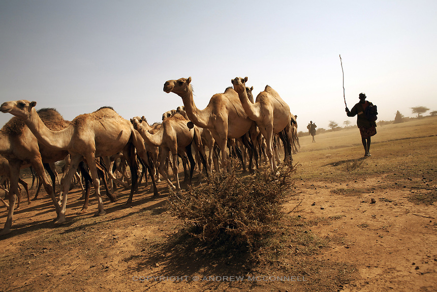 Somaliland-09.jpg