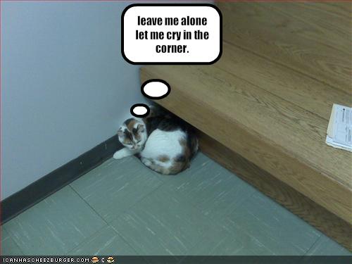 See the source image See the source image