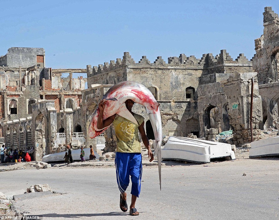Gone fishing, Somalia style: Man carries his eight-foot shark back ... Gone fishing, Somalia style: Man carries his eight-foot shark back ...