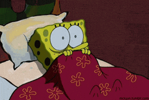 Horror Reaction GIF by SpongeBob SquarePants Horror Reaction GIF by SpongeBob SquarePants