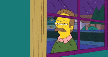 suspicious ned flanders GIF suspicious ned flanders GIF