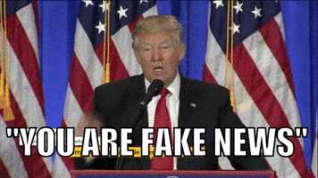donald trump GIF by franceinfo donald trump GIF by franceinfo