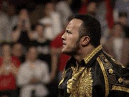 The Rock Eyebrow GIF The Rock Eyebrow GIF
