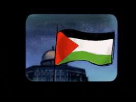 Palestine GIF Palestine GIF