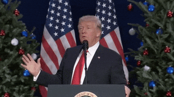 donald trump GIF by Saturday Night Live donald trump GIF by Saturday Night Live