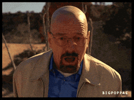 walter white greyhound GIF walter white greyhound GIF