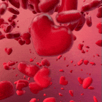 I Love You Hearts GIF by Henque I Love You Hearts GIF by Henque
