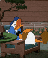 Donald Duck Lol GIF Donald Duck Lol GIF