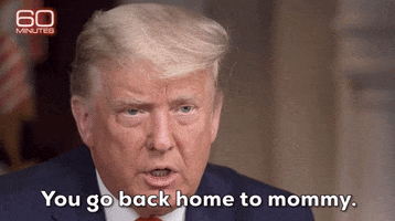 Donald Trump GIF by GIPHY News Donald Trump GIF by GIPHY News