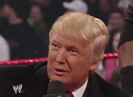 Donald Trump Wwe GIF by Election 2016 Donald Trump Wwe GIF by Election 2016