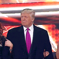 Donald Trump Wwe GIF Donald Trump Wwe GIF