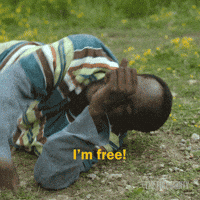 Lets Go Yes GIF by FX Networks Lets Go Yes GIF by FX Networks