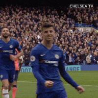 Chelsea Football Club GIF by Chelsea FC Chelsea Football Club GIF by Chelsea FC