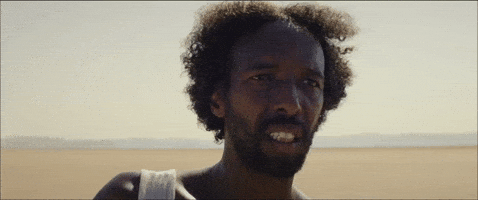 Germany Finland GIF by TIFF Germany Finland GIF by TIFF