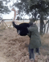 dude rides GIF dude rides GIF
