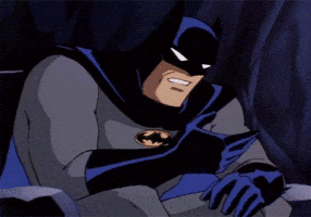 Batman Facepalm GIF by WE tv Batman Facepalm GIF by WE tv