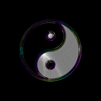 Yin Yang Loop GIF by Omer Studios Yin Yang Loop GIF by Omer Studios
