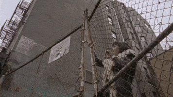 Fence GIF by Sharon Van Etten Fence GIF by Sharon Van Etten