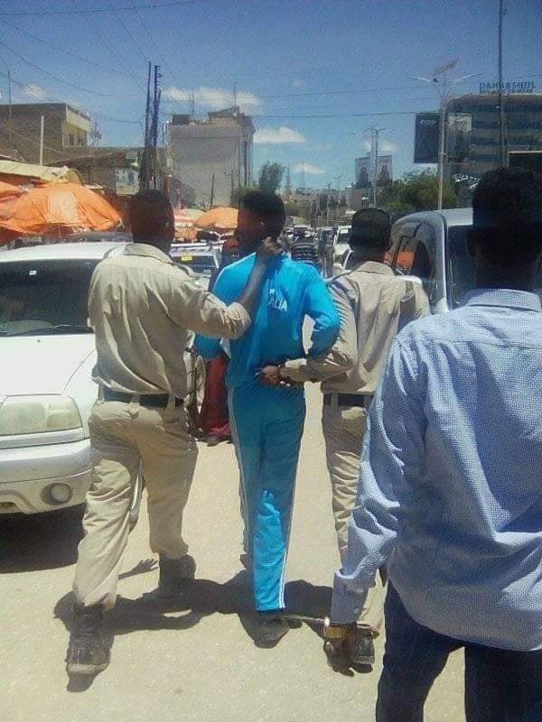 somalilandstandard.com