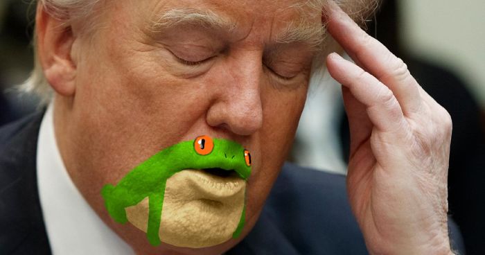 funny-donald-trump-frog-fb3__700-png.jpg