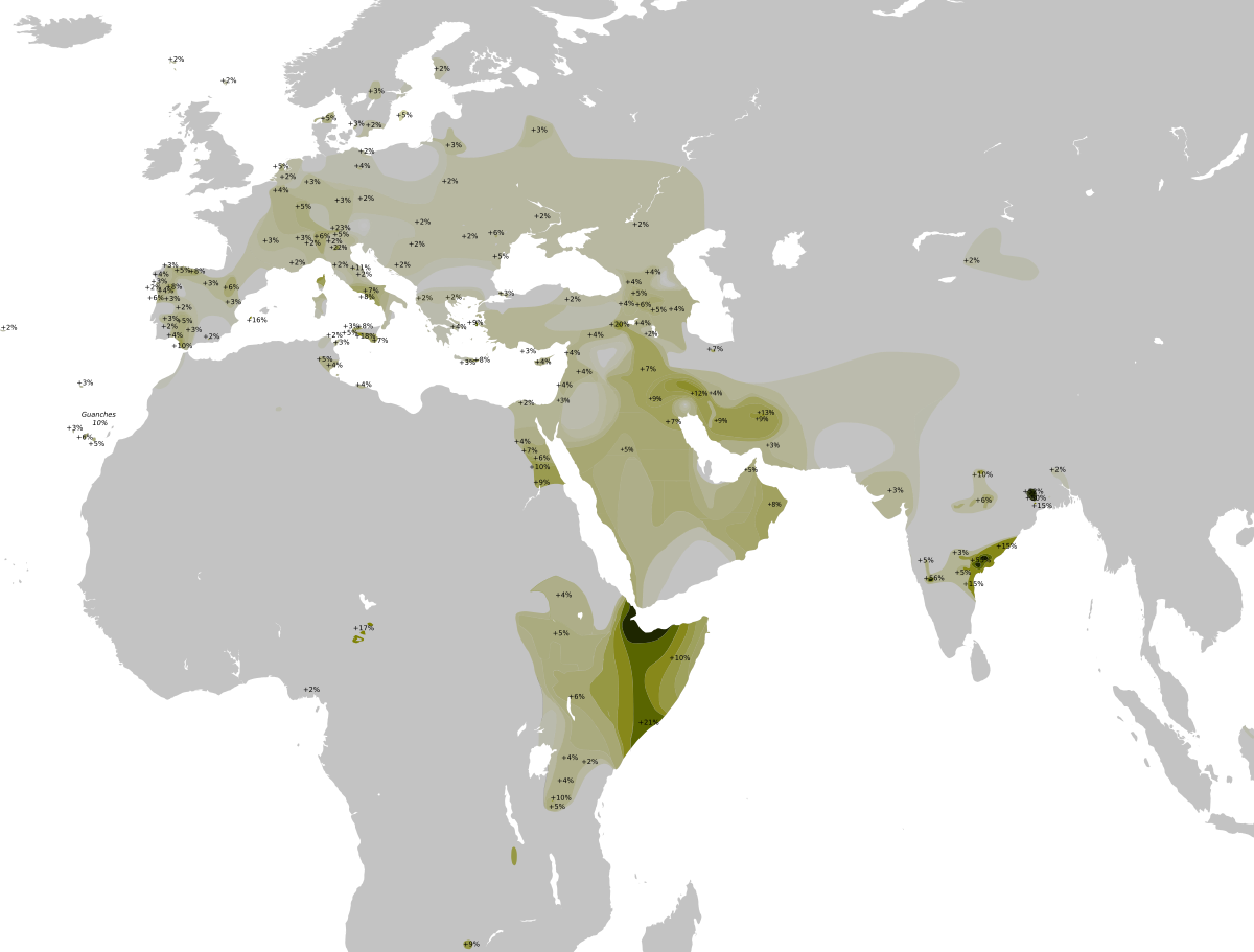 1200px-Distribution_Haplogroup_T_Y-DNA_II.svg.png