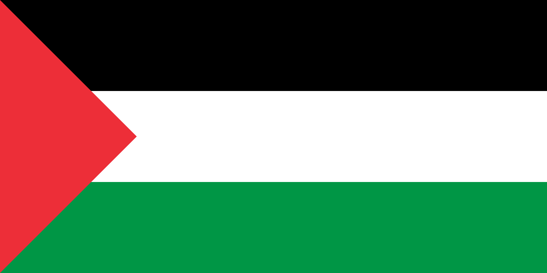1920px-Flag_of_Palestine_-_short_triangle.svg.png